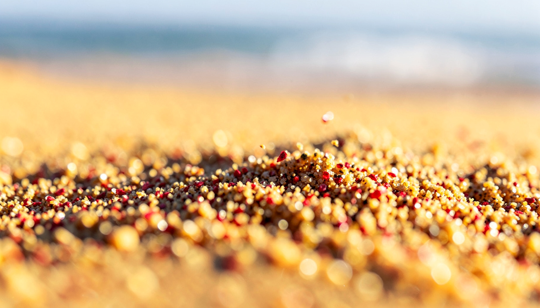 Extreme close-up of windswept golden sand grains catching sunlight, with a soft blurred ocean horizon in the background