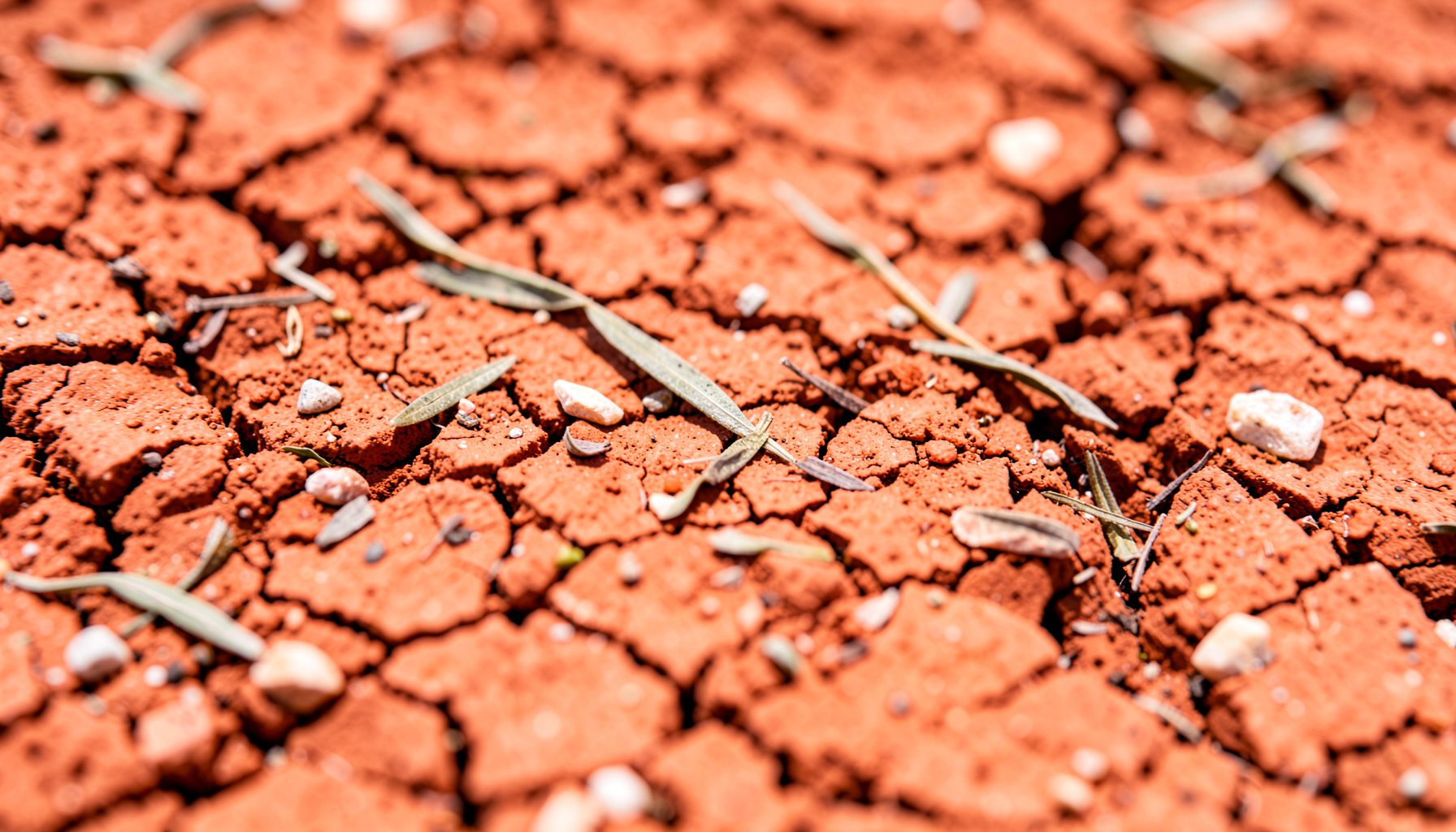 Extreme close-up photograph of sun-baked Mediterranean earth, showing cracked terracotta-colored clay with tiny fragments of stone